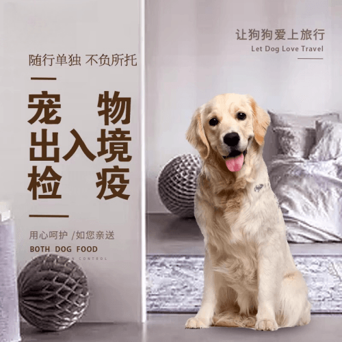 宁德宠物托运到哥伦比亚猫狗宠物入境规定和