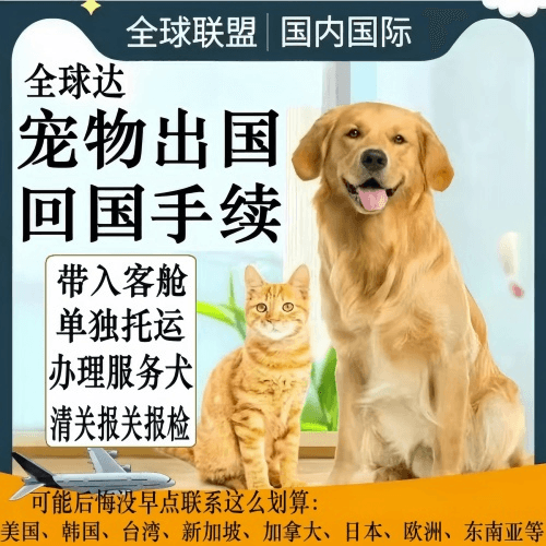 宁德宠物托运到柬埔寨宠物入境规定和要求