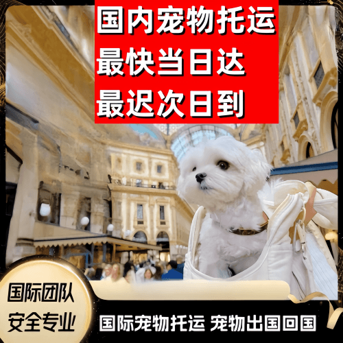 宁德到澳大利亚（澳洲）宠物入境规定和要求