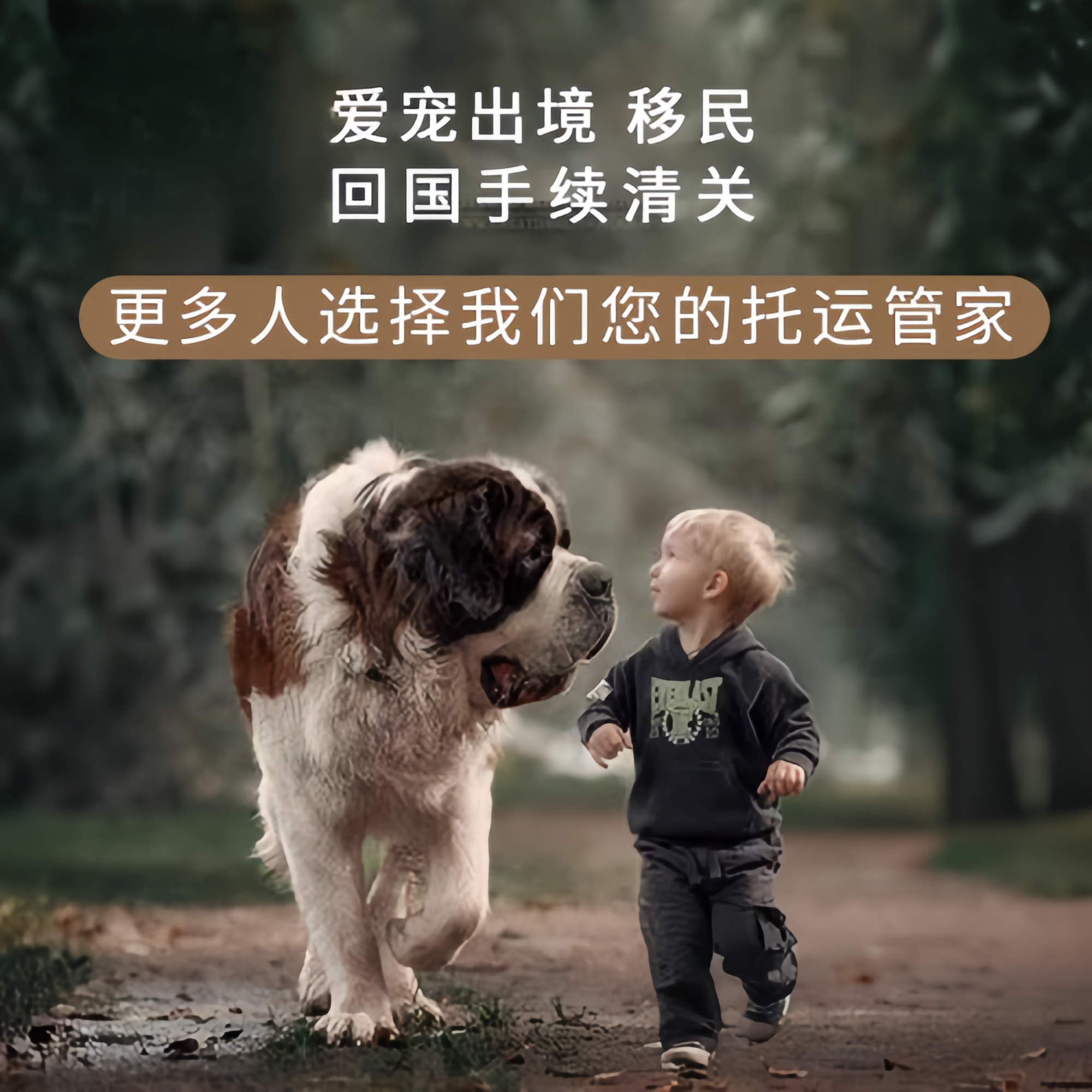 满财宁德宠物全球达宠物托运在遵守入境目的地政策的条件