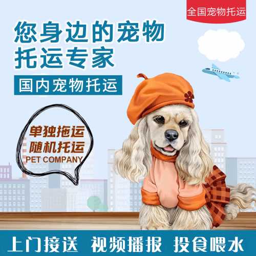 满财宁德宠物全球达宠物托运作为专业的宠物运输代理机构